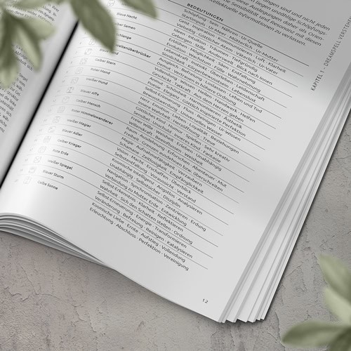 DreamSpell verstehen Buch